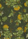 Barbara Oak Leaf Print Button-Through Dress