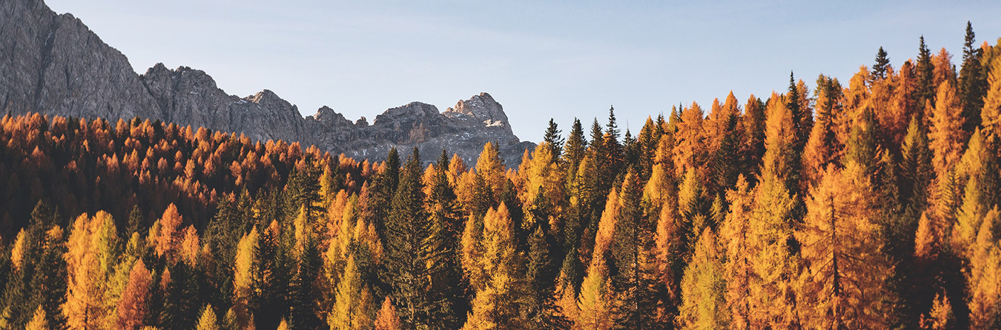 Our Autumn Sustainability Update with Sourcing & Sustainability Consultant Julia Redman